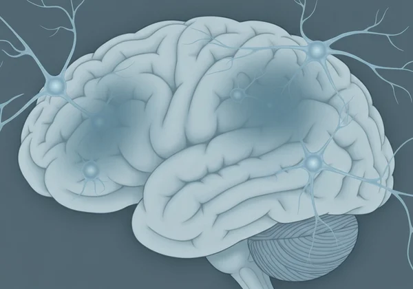 Brain with anhedonia affecting reward pathways